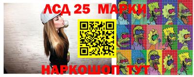 гидропоника Краснознаменск
