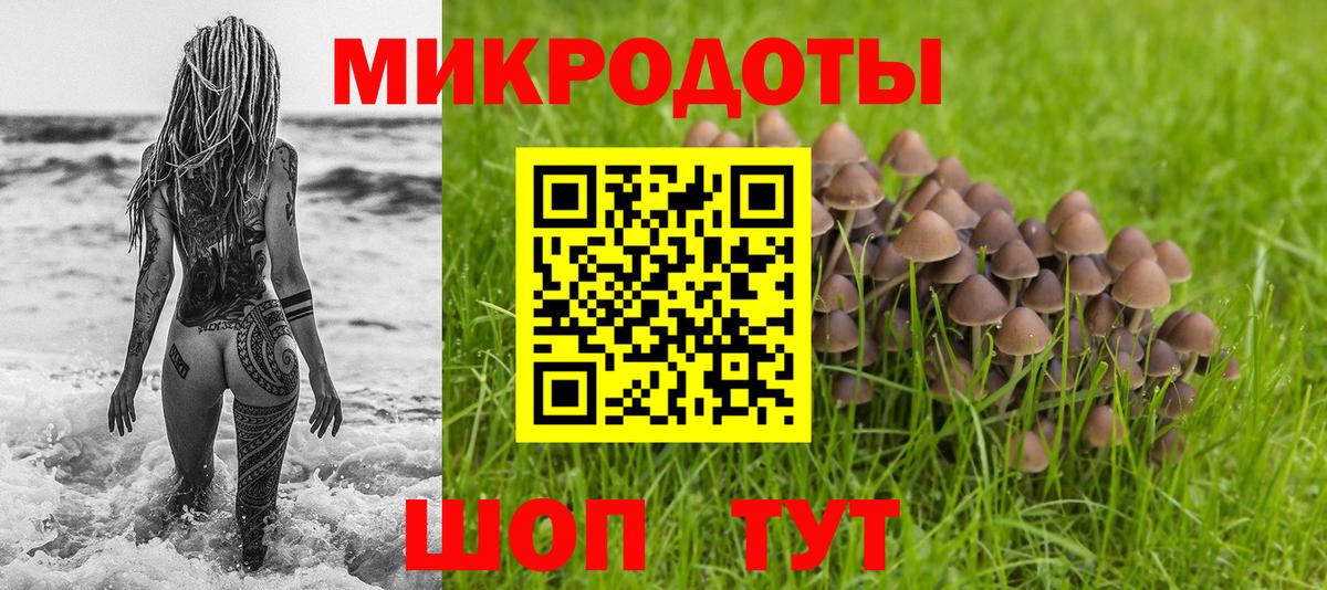 Качканар  Галлюциногенные грибы Psilocybine cubensis  Вход с VPN  Галлюциногенные грибы мицелий 